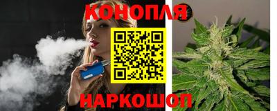 крисы Балаково