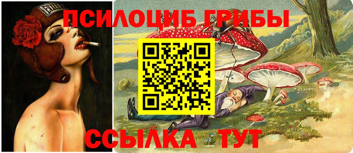 Галлюциногенные грибы GOLDEN TEACHER Дзержинский